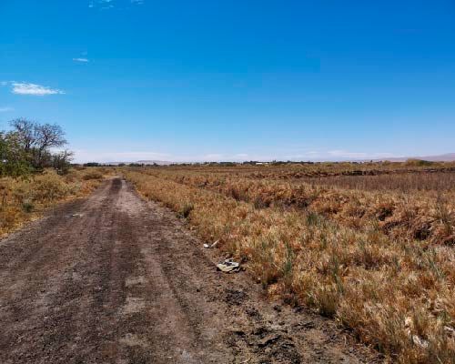 Formato chicas_69ee4b2c28ba6.jpg